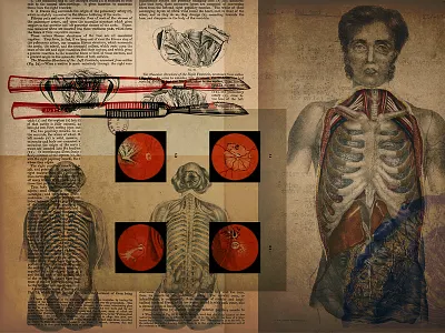 Medical Art art ephemera etchings fizzlestock illustrations medical retro retro supply retro supply co vintage