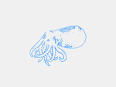 Sad 'Lil Squid Illustration drawing graphic illustration ink ocean outline print sad sea squid