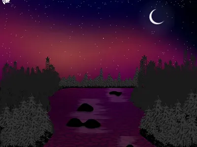 UNDER THE COLOURFUL NIGHT SKY 2d flat art adobe illustrator arts and illustration colourful sky dark art digital art dribble portfolio environment art illustration inspiration from nature landscape illustration nature art nature inspired art night art portrait art vector art