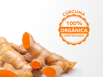 Selo Orgânico Cúrcuma badge organic