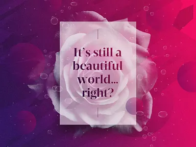 It's still a beautiful world…right? art beautiful circle colour design gradient poster rose texture typography