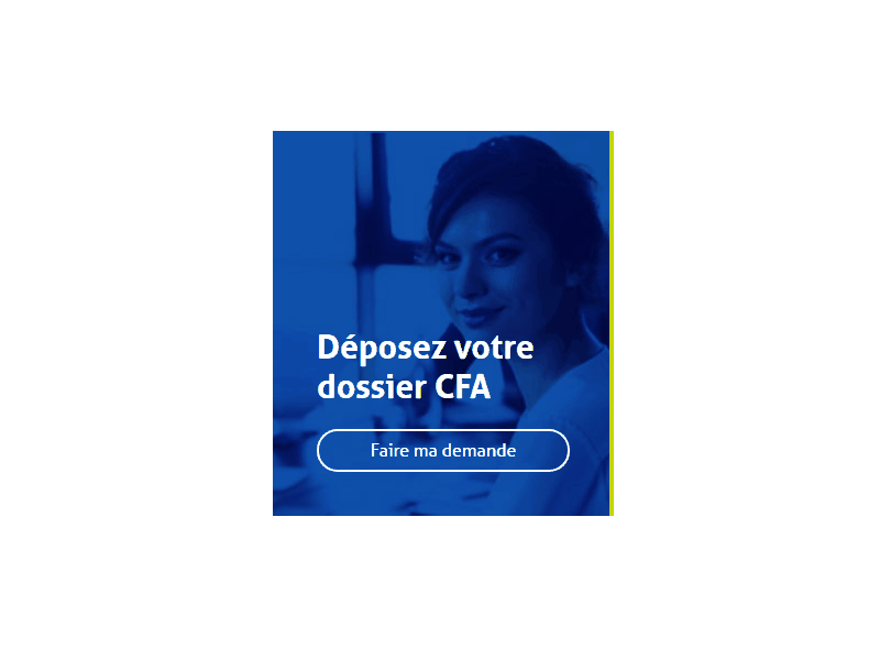 Mini form css form transitions