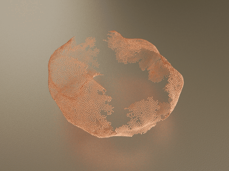 Torus Pattern 3d c4d copper friday growth houdini motion octane organic physics