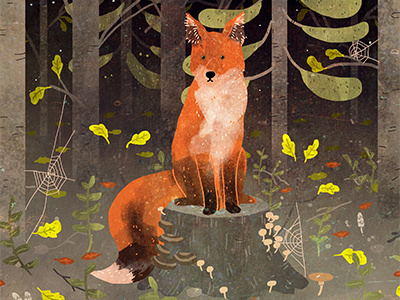 red fox animal cute drawing fox illustration kidlitart nature