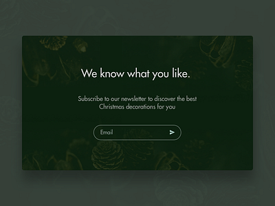 DailyUI 026 - Subscribe dailyui dailyui 026 modal subscribe