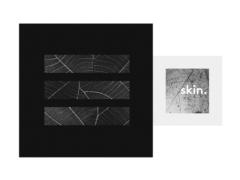 skin. black and white botany design geometric macros plants textures