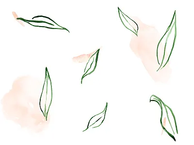 Leaves pt. 2 drawing leaf leaves line drawing minimal simple sketch watercolor