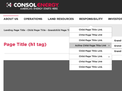 CONSOL Style Guide design system style guide styleti.le