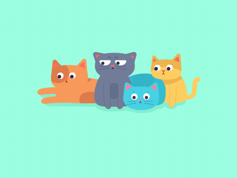 HELLO DRIBBBLE cat dribbble illustration