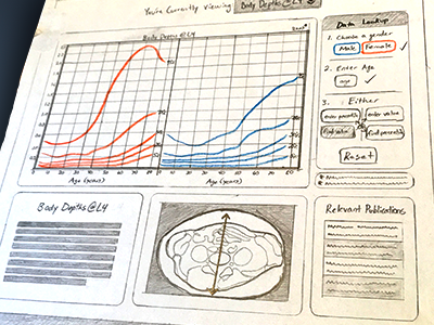 Data Visualization Calculator - Low fi 2 data visualization graph interaction low fi pencil ui ux web wireframe