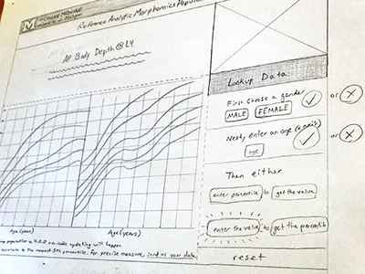 Body Measurement Data Visualization - Low Fi data visualization graph interaction low fi pencil ui ux web wireframe