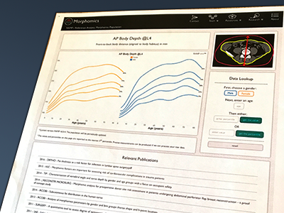 Data Visualization Calculator - Hi fi 1 data visualization graph high fi interaction medical ui ux web wireframe