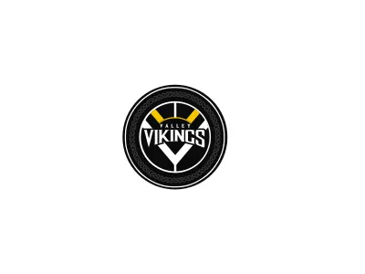 Viking Shield design enotsdesign logo school shield viking vikings