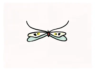 Long Moth digital illustration illustration texture water color