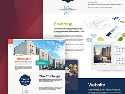 Case Study Details branding case case study design landing landing page portfolio ui ux web design website