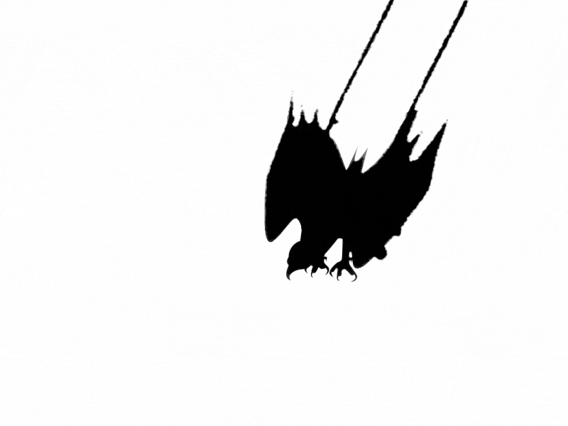 Inktober Swift 2d animation design hawk inktober motion