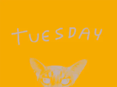it's tuesday, if you want it cat tuesday