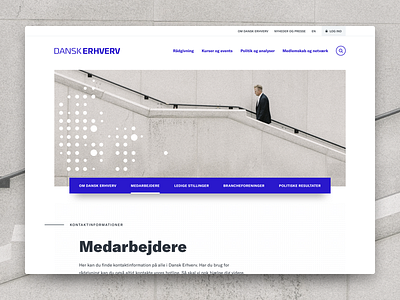 Dansk Erhverv branding identity webdesign