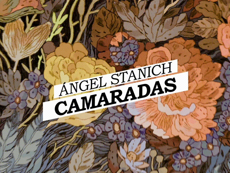 Stanich Lyric Video (Sony Music) illustration lyric video music surreal videoclip