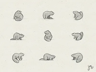 Beaver | Sketches beaver composition concept design exploration logo simplistic sketches sketchingtime variations
