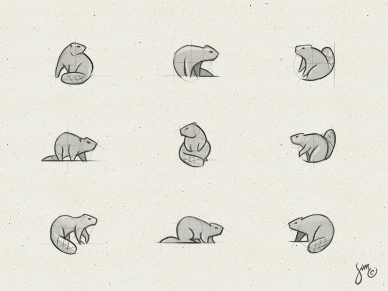 Example of Beaver | Sketches