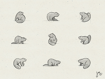 Beaver | Sketches beaver composition concept design exploration logo simplistic sketches sketchingtime variations