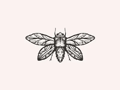 Inktober 02 illustration inktober moth sketch
