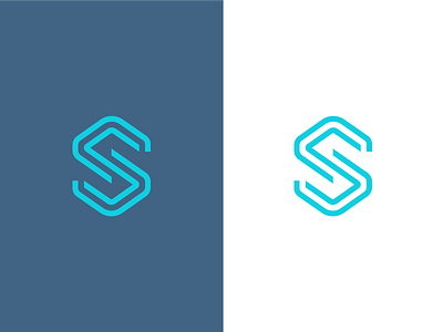 S / logo design branding lettermark logo mark path s symbol
