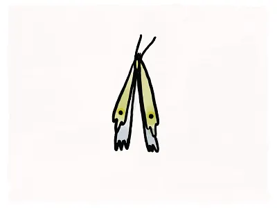 Tall Moth digital illustration illustration texture water color