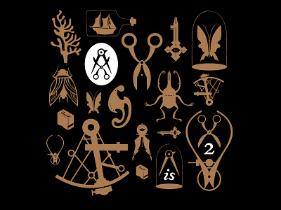 Curio icons curio curios curiosity icon illustration objects tools