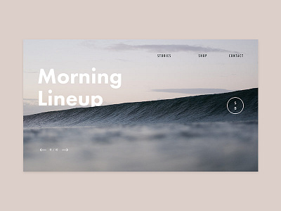 Dribbble Shot minimal ui