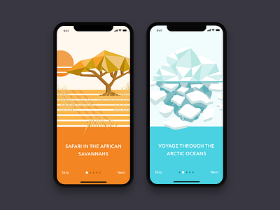 Storybook App Walkthrough arctic geometric iceberg illustration iphone x on boarding safari storybook walkthrough