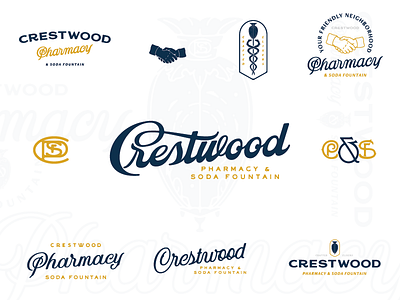 CP&SF alabama birmingham branding cpsf crestwood font handshake marks pharmacy script showglobe snakes