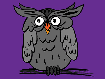 Owl