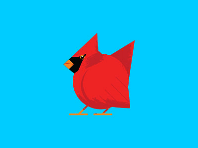 Cardinal Illustration bird geometric illustration wildlife