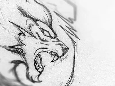 Fierce Lion Sketch angry animal cat fierce illustration lion mascot logo roar sketch sport sports wild