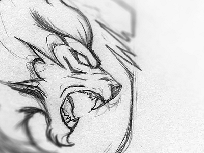 Fierce Lion Sketch angry animal cat fierce illustration lion mascot logo roar sketch sport sports wild