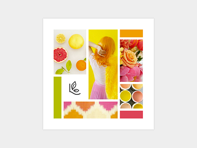 Citrus Inspired Mood Board color mood board