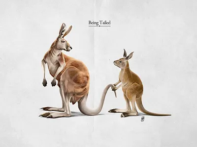 Being Tailed animal australia baby follow fur hopping joey kangaroo legs mammal marsupial tail