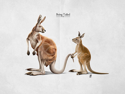 Being Tailed animal australia baby follow fur hopping joey kangaroo legs mammal marsupial tail
