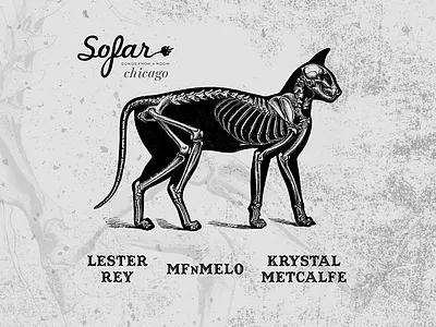 Sofar October black cat bones cat concert gig poster halloween skeleton spooky