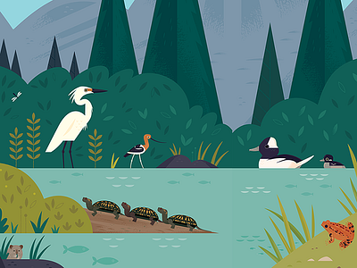 Curiosity Grove Wetlands animals birds california children environment design illustration museums nature wetlands wildlife