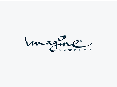 Imagine Academy Logo brand branding imagine indentity lettering logo logotype mark symbol typography wordmark yaligya