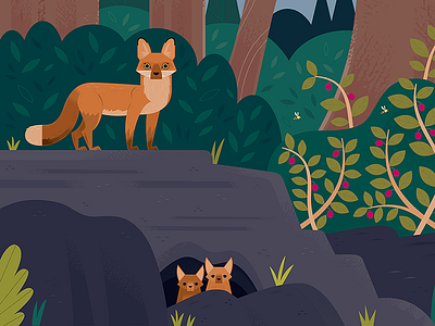 Curiosity Grove Foxes animals california character design children environment design fox illustration museums nature wildlife