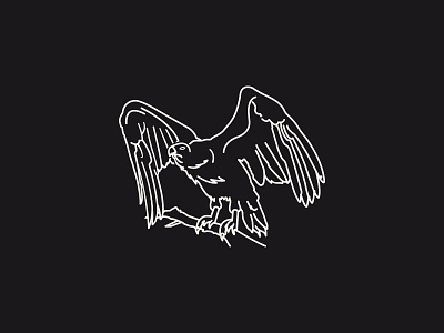 Bird of Prey bird illustration illustrator vector vulture