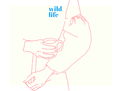 Wild life illustration linedrawing mccartney outline wildlife