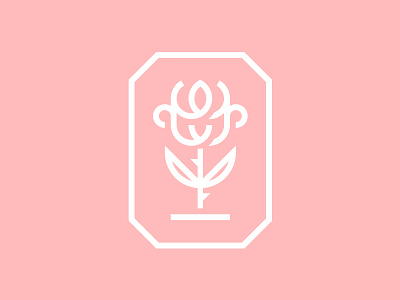 Rose branding design flower icon illustration logo rose