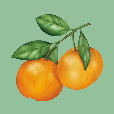 Mandarin Orange digital food fruit illustration mandarin orange oranges painting texture