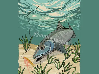 Bonefish fishing illustration T Shirt Design bonefish tshirt design nature