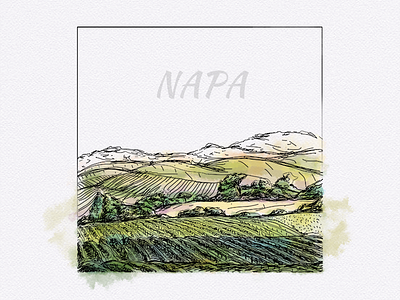 Napa Wildfire Relief aid fire napa relief wildfire